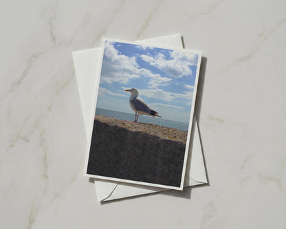 Seagull Card, Coastal Bird Photography, Sea Wall Blue Sky, Seaside Card Gift