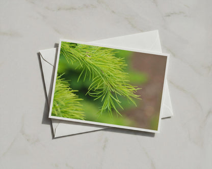 Pine Needle Branch Card, Green Botanical Nature Card, Evergreen Tree Close Up, Blank Inside A6