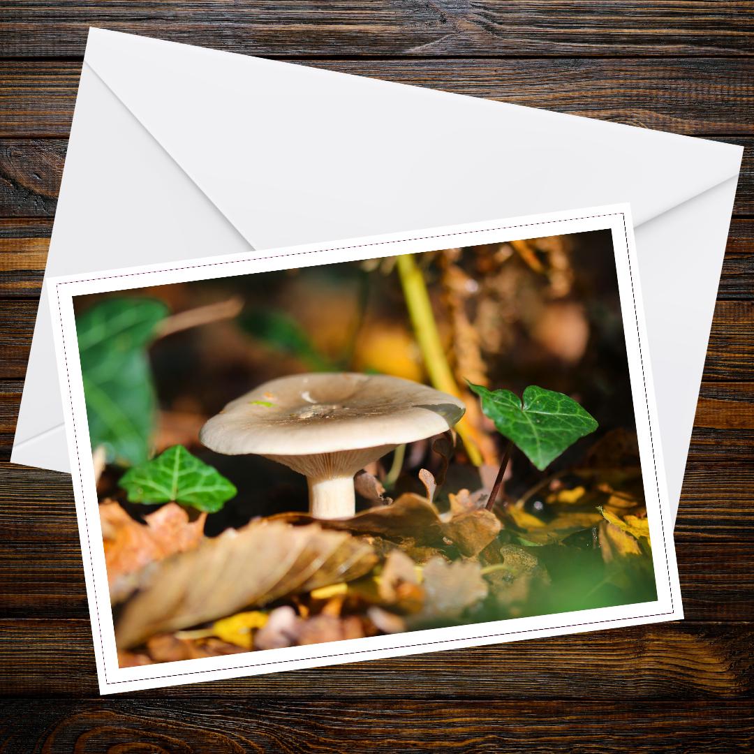 Fungi Greeting Card | Botanical Mushroom Art, Woodland Fungi Stationery, Nature Lover Gift, Eco Friendly Cottagecore Card, Forest Mushrooms