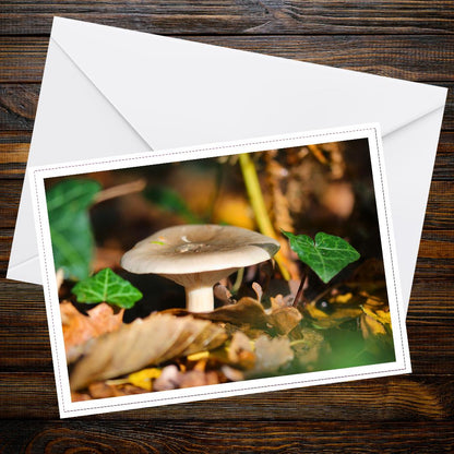 Fungi Greeting Card | Botanical Mushroom Art, Woodland Fungi Stationery, Nature Lover Gift, Eco Friendly Cottagecore Card, Forest Mushrooms