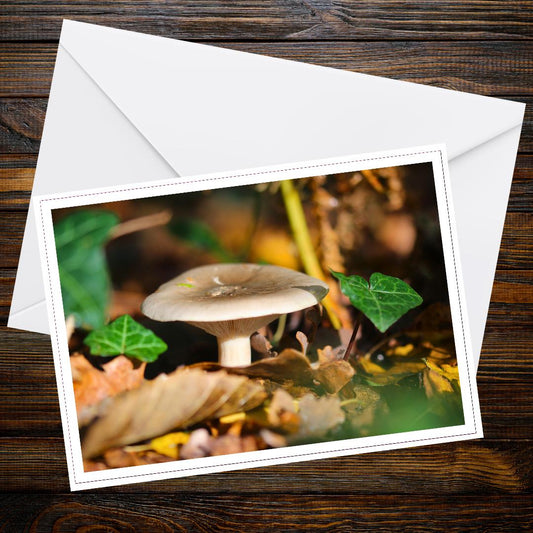 Fungi Greeting Card | Botanical Mushroom Art, Woodland Fungi Stationery, Nature Lover Gift, Eco Friendly Cottagecore Card, Forest Mushrooms