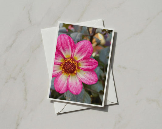 Pink Dahlia Flower Card, Botanical Garden Greeting Card, Floral A6 Card with Envelope