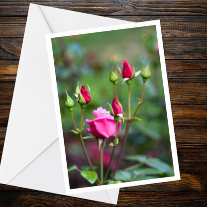 Pink Rosebuds Greeting Card - A6 floral card, Summer Flower Collection, blank inside
