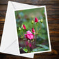 Pink Rosebuds Greeting Card - A6 floral card, Summer Flower Collection, blank inside