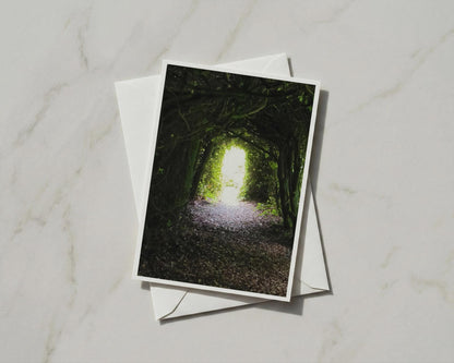 Tree Tunnel Card, Woodland Path Greetings Card, Forest Light Nature Card