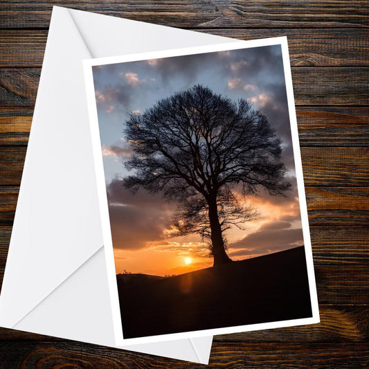 Lone Tree Sunset Greetings Card | Blank Nature Card | Dawn & Dusk Collection