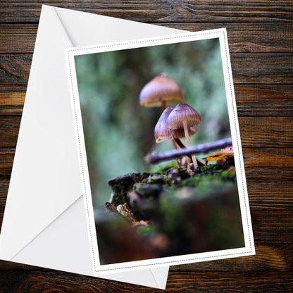 Bonnet Mycena Fungi Greeting Card | Bioluminescent Mushroom Nature Card | Woodland Botanical Forest Illustration | Handmade FSC Card
