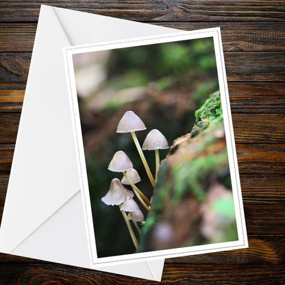 Bonnet Mushroom Fungi Greeting Card | Woodland Botanical Nature Card | Bioluminescent Mushroom Illustration | FSC Certified Handmade Card