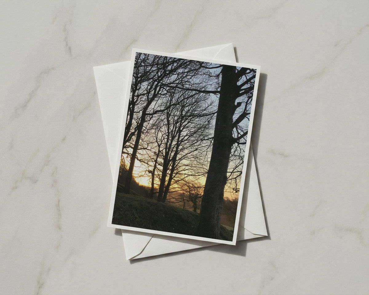 Winter Trees Sunset Greeting Card, Bare Branches Silhouette, Nature Photography Card