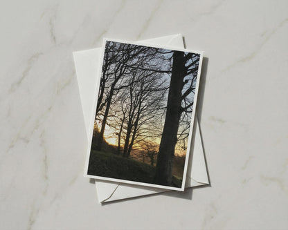 Winter Trees Sunset Greeting Card, Bare Branches Silhouette, Nature Photography Card