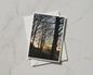 Winter Trees Sunset Greeting Card, Bare Branches Silhouette, Nature Photography Card