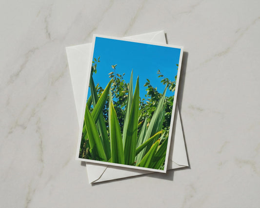 Tropical Green Leaves Blue Sky Card, Bold Botanical Garden Card, Nature Photography