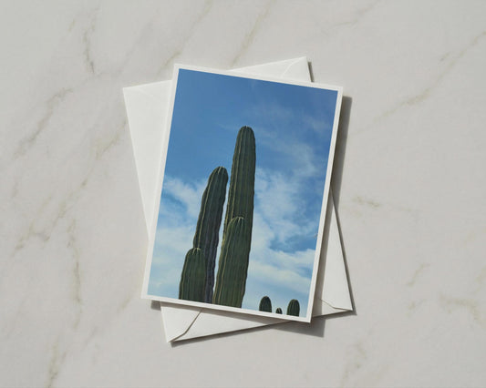 Cactus Photography Card, Desert Blue Sky, Botanical Nature A6 Card with Envelope
