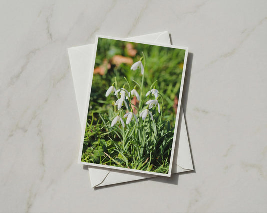 Snowdrop Flower Card, White Spring Flowers, Botanical Nature Card, Garden Photo A6