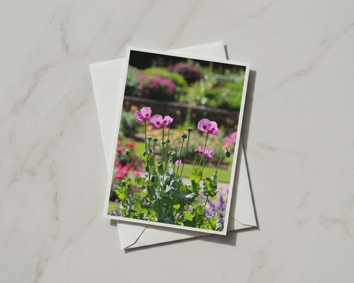Pink Poppy Garden Card, Floral A6 Card with Envelope, Summer Flowers Greeting Card