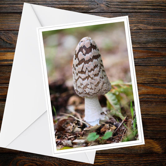 Shaggy Mane Fungi Greeting Card, Mushroom Nature Card, Woodland Botanical Illustration, All Occasion Handmade Card, FSC Certified Card
