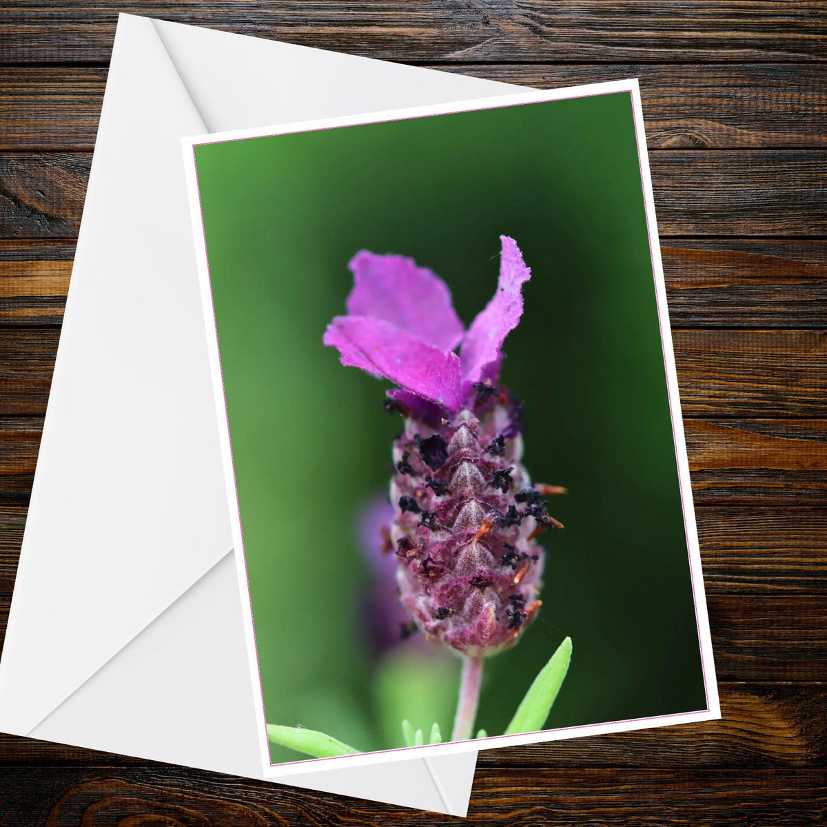 French Lavender A6 Greetings Card - Macro Nature Photo | Inspired by Eden Collection