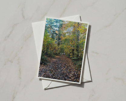 Autumn Forest Path Card, Woodland Walk, Fall Trees Greeting Card, Nature A6 Card