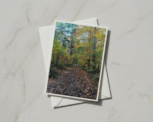 Autumn Forest Path Card, Woodland Walk, Fall Trees Greeting Card, Nature A6 Card