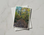 Autumn Forest Path Card, Woodland Walk, Fall Trees Greeting Card, Nature A6 Card