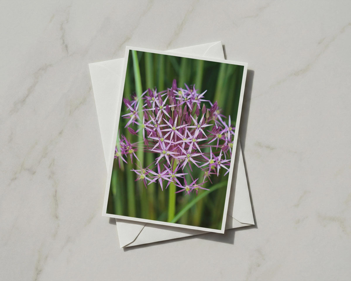 Allium Flower Card, Purple Botanical A6 Greeting Card, Garden Flower, Blank Inside
