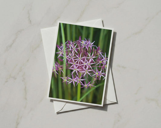 Allium Flower Card, Purple Botanical A6 Greeting Card, Garden Flower, Blank Inside