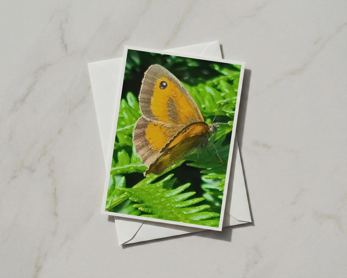 Gatekeeper Butterfly Card, Orange Butterfly on Fern, Wildlife Nature A6 Card
