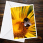 Bumblebee Yellow Flower A6 Greeting Card, Wildlife Photography Blank Card