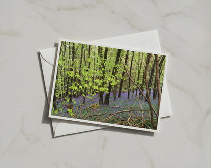 Bluebell Wood Poster, Spring Forest Landscape Framed-Print, Purple Wildflower Trees Wall Art, British Woodland Nature Photography Print