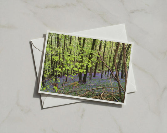 Bluebell Wood Poster, Spring Forest Landscape Framed-Print, Purple Wildflower Trees Wall Art, British Woodland Nature Photography Print