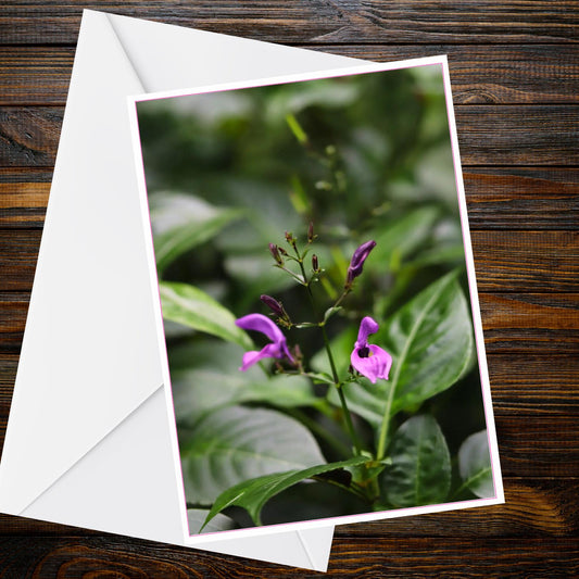 Purple Salvia Flowers, Buds & Glossy Foliage A6 Greetings Card - Inspired by Eden Collection