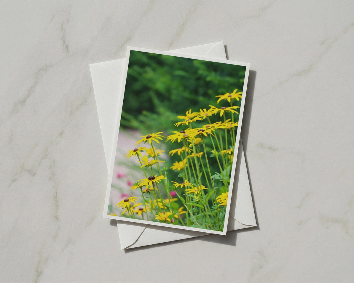 Black Eyed Susan Card, Yellow Rudbeckia Flower A6 Card, Garden Floral Greeting Card