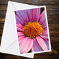 Purple Osteospermum Greeting Card - A6 macro photo of lilac daisy
