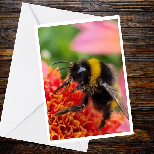 Close-Up Bumblebee Greeting Card, Dahlia Flower Photography, A6 Matte Nature Card