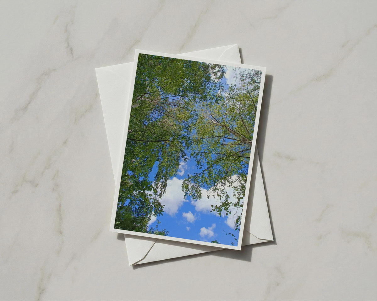 Tree Canopy Greetings Card, Looking Up Through Trees, Blue Sky Nature Card