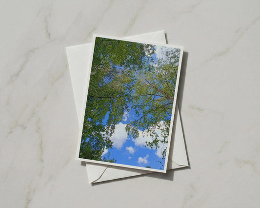 Tree Canopy Greetings Card, Looking Up Through Trees, Blue Sky Nature Card
