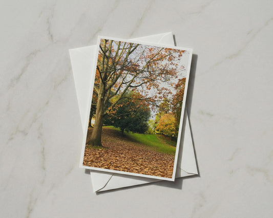 Autumn Trees Greetings Card, Fall Leaves Nature Card, Woodland Park Scene