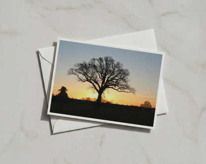 Oak Tree Sunset Silhouette Greeting Card, Dawn Dusk Landscape, Golden Sky A6 Card