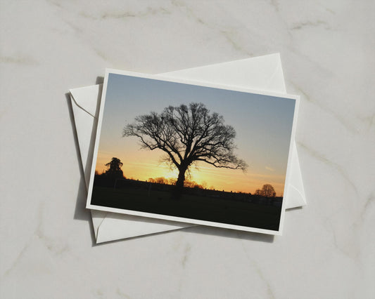 Oak Tree Sunset Silhouette Greeting Card, Dawn Dusk Landscape, Golden Sky A6 Card