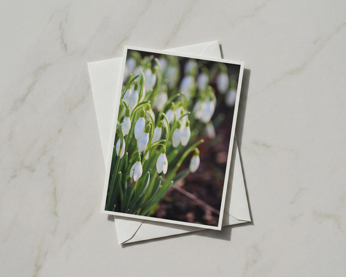 Snowdrop Flower Card, White Spring Floral A6 Greeting Card, Garden Botanical Nature Card