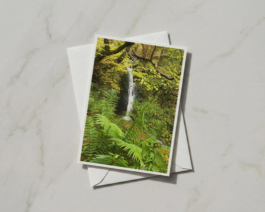 Woodland Waterfall Card, Autumn Forest Ferns, Nature Greeting Card, Green Trees
