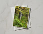 Woodland Waterfall Card, Autumn Forest Ferns, Nature Greeting Card, Green Trees