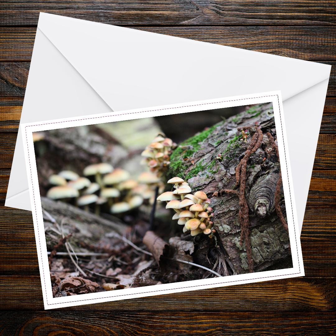 Sulphur Tuft Fungi Greeting Card, Botanical Woodland Gift Idea, Nature-Inspired Eco Stationery, Forest Flora Art, Whimsical Mushroom Card