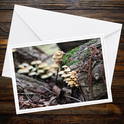 Sulphur Tuft Fungi Greeting Card, Botanical Woodland Gift Idea, Nature-Inspired Eco Stationery, Forest Flora Art, Whimsical Mushroom Card