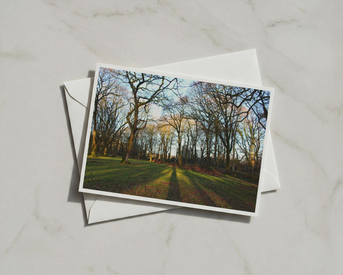 Winter Woodland Poster, Bare Trees Landscape Framed-Print, Golden Light Forest Wall Art, Nature Photography, Dawn Dusk Trees Print