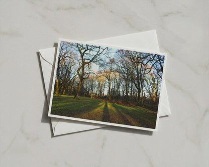 Winter Woodland Poster, Bare Trees Landscape Framed-Print, Golden Light Forest Wall Art, Nature Photography, Dawn Dusk Trees Print