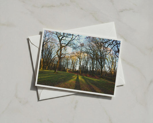 Winter Woodland Poster, Bare Trees Landscape Framed-Print, Golden Light Forest Wall Art, Nature Photography, Dawn Dusk Trees Print