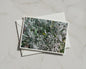 Silver Dusty Miller Foliage Card, Grey Green Botanical Greeting Card, Garden Plant