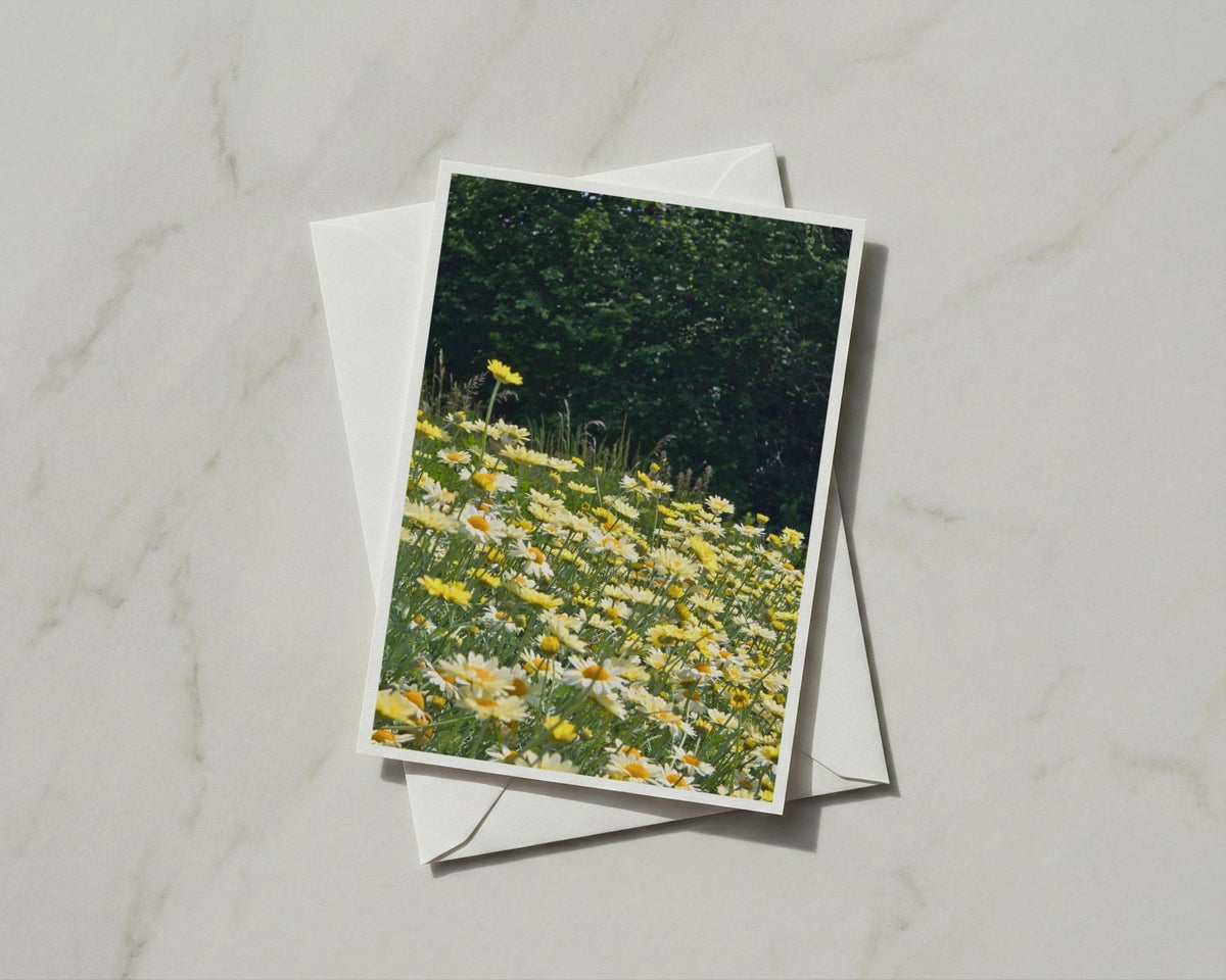 Yellow Daisy Meadow Card, Summer Wildflower Greeting Card, Blank Inside, Nature