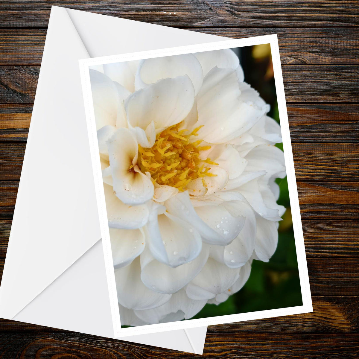 White Peony Greeting Card — A6 size floral photograph, 250gsm matt | Summer Flower Collection